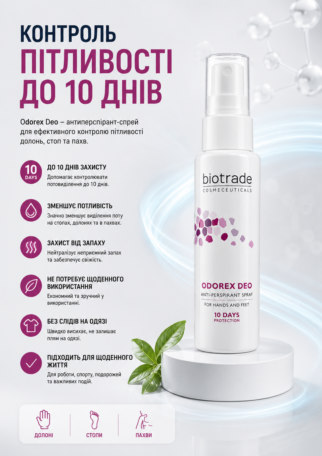Портрет человека